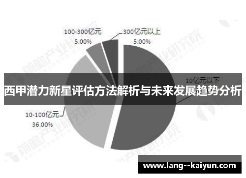 西甲潜力新星评估方法解析与未来发展趋势分析
