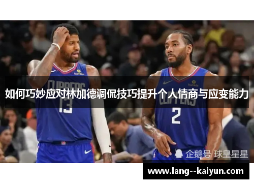 如何巧妙应对林加德调侃技巧提升个人情商与应变能力