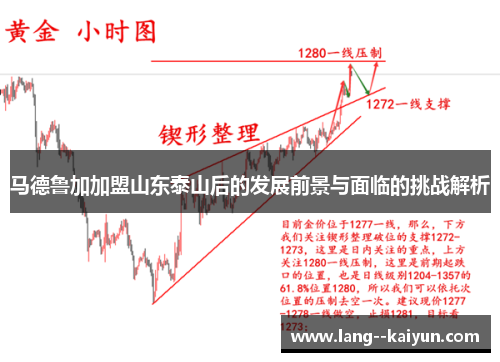 马德鲁加加盟山东泰山后的发展前景与面临的挑战解析